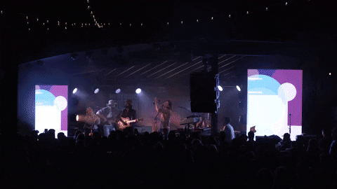 T3 biometric data visualization web application